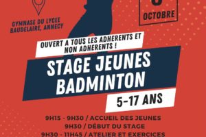 Stage Jeune Badminton